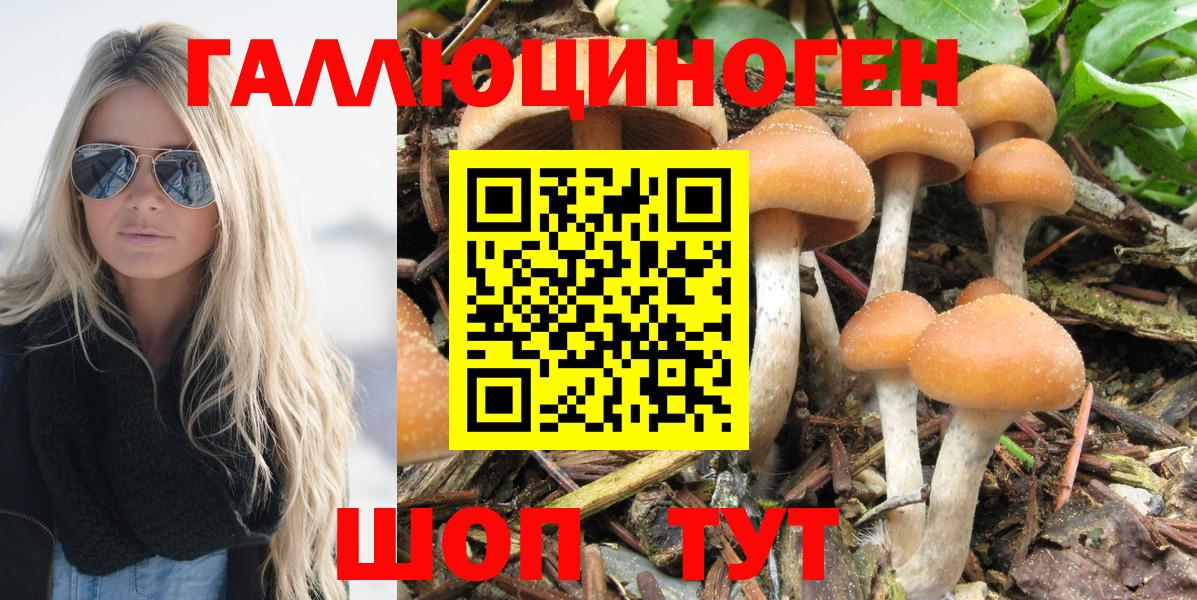 Псилоцибиновые грибы Magic Shrooms Кушва