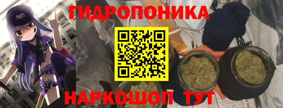 Бошки Шишки сатива Кушва